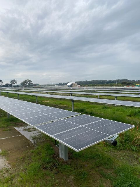 Solar farm